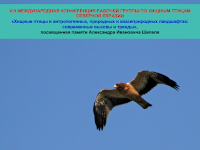 Послание В. М. Галушина